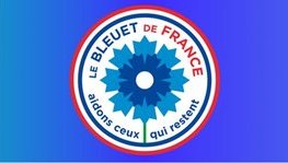 Bleuet de France